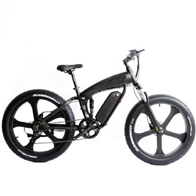 Professional mountain mtb ebike bike wholesale (1)