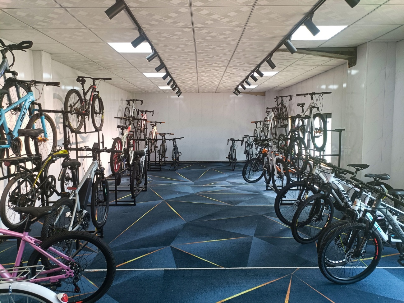 Bicycle Sample Showroom and Product Display