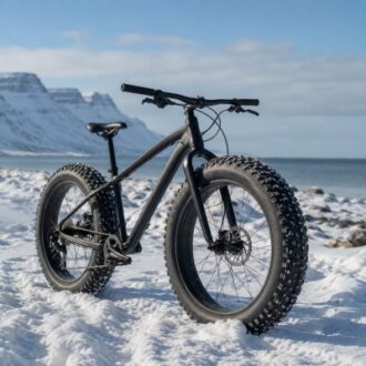 Fat tire bicycle positioned on snowy ground near a cold coastal landscape, showing oversized tires and rugged frame construction.